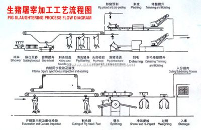 青岛特恩特机械有限公司