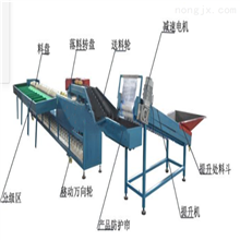 猕猴桃选果机
