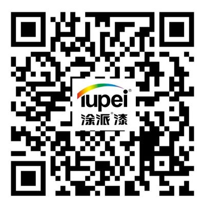 江门市涂派新材料科技有限公司