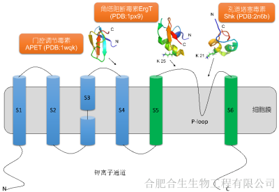 合肥合生生物工程有限公司