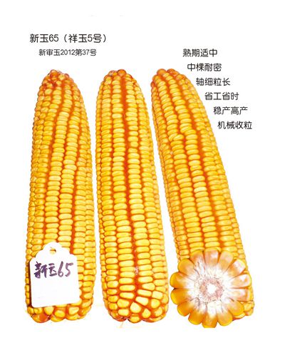 新疆祥丰生物科技有限公司