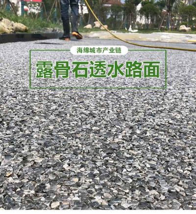 海绵城市生态建设工程(广东)有限公司