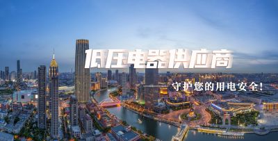 乐清市睿诚电气有限公司